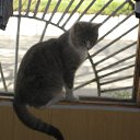 ���� ����, ������, 33 ���� - ��������� 15 ������ 2012 � ������ �15.04.12 �� ������ �������� ���� =)))�