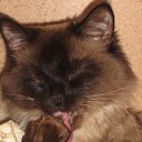 ���� �������, ��������, 37 ��� - ��������� 2 ������ 2009 � ������ ���������