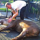 ���� ��������, ������ - ��������� 19 ����� 2013 � ������ ���� ����������