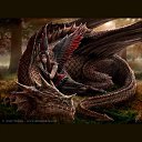  ,  -  15  2012   beauty