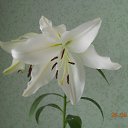 ���� ����, ������, 69 ��� - ��������� 6 ���� 2013 � ������ ���� ����������