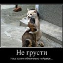 ���� �����, ����-�����������, 35 ��� - ��������� 10 ����� 2012 � ������ ���� ����������