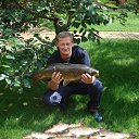 ���� ������ ��������, ������, 63 ���� - ��������� 1 ���� 2013 � ������ ���� ���� ������