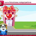 ���� ���������, ������, 49 ��� - ��������� 10 ������ 2011 � ������ �PetLove�