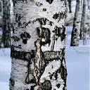 ���� �������, ������������ - ��������� 12 ������� 2011 � ������ ���������� ����