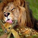 ���� �������, �����������, 47 ��� - ��������� 26 ����� 2012 � ������ ���� ����������