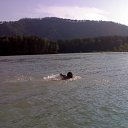 ���� ��������, ������� - ��������� 25 �������� 2011