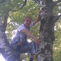 �����, ���, 43 ����