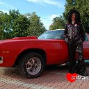 ���� �����, �����, 39 ��� - ��������� 19 ���� 2010