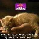 ���� ����, ������, 42 ���� - ��������� 11 ���� 2012