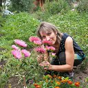 ���� �����, �������� - ��������� 12 ������� 2012 � ������ ���� ����������