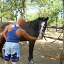 ���������� � ����� �� ������� �PetLove�