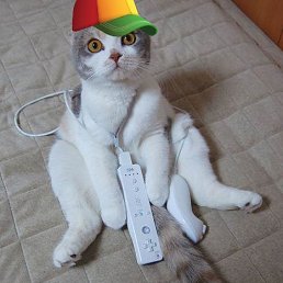 ���� �����, ������������, 28 ��� - ��������� 10 ������� 2012