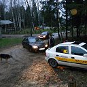 ���� �����, ������, 43 ���� - ��������� 15 ������ 2010 � ������ ����������� 12.11.2010.�