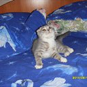  ,  , 33  -  27  2011    