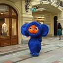 ���� �������, ���������, 51 ��� - ��������� 29 ��� 2013 � ������ ���� ����������