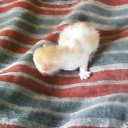 ���� �������, �����, 36 ��� - ��������� 27 ���� 2011 � ������ ����