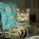 ���, � ��� �� ������? ��� ���������?)) �� ������� �����������....�