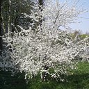 ���� ������, ������ - ��������� 1 ��� 2011 � ������ ������ � ������