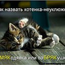 ���� ��������, �������� - ��������� 23 ����� 2012 � ������ �������� ��������