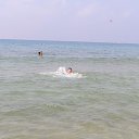  ok, --, 44  -  26  2010    2008