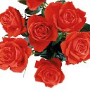 ���� ������, ������, 59 ��� - ��������� 30 ����� 2012 � ������ �����ۻ