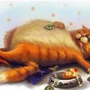 ���� ����, ��������, 50 ��� - ��������� 11 ������ 2011 � ������ ���� ����������