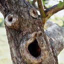 ���� ��������, ������ - ��������� 16 ����� 2011 � ������ �������