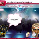 ���� ��������*���*, ������, 41 ��� - ��������� 15 ������ 2011 � ������ �PetLove�