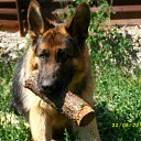  ,  -  18  2012      Ȼ