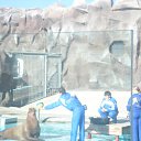 ���� ����, ������, 42 ���� - ��������� 10 ������� 2010 � ������ ���� �������