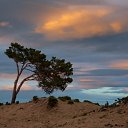 ���� Ju Kusenkova, �������, 38 ��� - ��������� 29 ������� 2010 � ������ ��������� � ��������