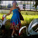 ���� �������, ������� - ��������� 15 ������ 2012 � ������ ���� ����������