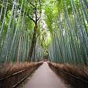 ���� ����, ��������� - ��������� 20 ������� 2012 � ������ ��������