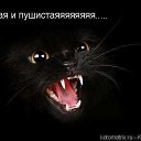 ���� �������, ��������, 43 ���� - ��������� 7 ������ 2013