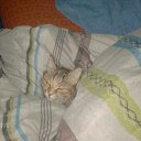 ���� ��������, ��������, 48 ��� - ��������� 20 ��� 2012 � ������ ����������