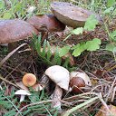 ���� ������� �����, ��������, 56 ��� - ��������� 10 ����� 2013