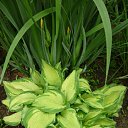 ���� ����@, ��������, 62 ���� - ��������� 30 ��� 2010 � ������ ��������� �������