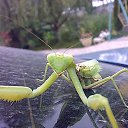 ���� Aleks, �����������, 48 ��� - ��������� 30 ������ 2012 � ������ ���� ����������