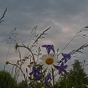 ���� ������, �������� - ��������� 16 ������� 2012 � ������ �������