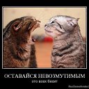 ���� Zhan, ������, 44 ���� - ��������� 7 �������� 2011 � ������ �������