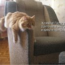���� ����, ����������� - ��������� 10 ������� 2010 � ������ ������� ���� �������) ����� 2�