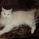 ��������� �� ������� ����� ��� ������������