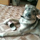 ���� ������, ������� - ��������� 8 �������� 2011