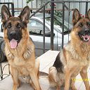  ,  -  18  2012      Ȼ