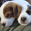 ���� ����� - ���������� ��������!!!, �����������, 56 ��� - ��������� 13 ������� 2009 � ������ ��������� (�����)�