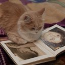 ���� ����@, ��������� - ��������� 3 ������� 2009 � ������ �������