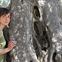 ���� ����, ������, 42 ���� - ��������� 27 ���� 2011 � ������ ���� ����������