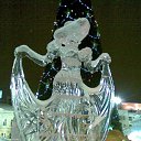 ���� Knoss, ������������, 26 ��� - ��������� 29 ������ 2010 � ������ �������� ���������� 2010�