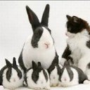 ���� ����� - ���������� ��������!!!, �����������, 56 ��� - ��������� 4 ������� 2009 � ������ ����������� :-)�